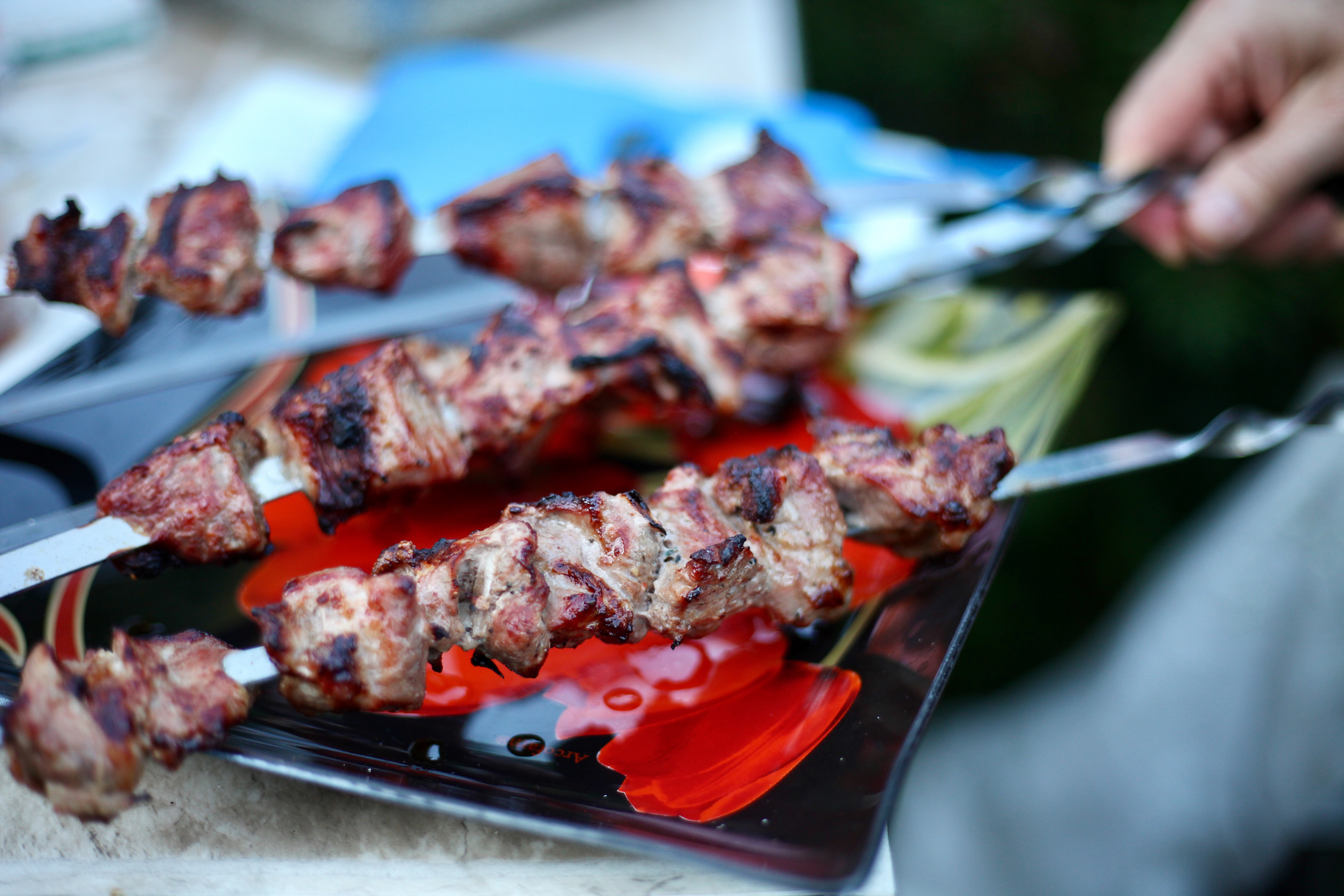 photo of shish kebab