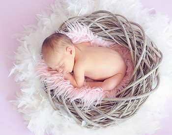 Picture of small baby sleeping in a bird's nest.